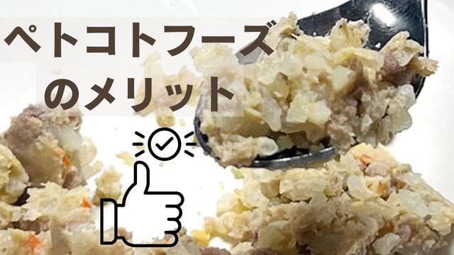 ペトコトフーズ