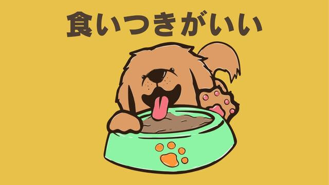 ペトコトフーズ