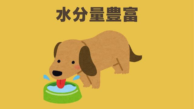 ペトコトフーズ