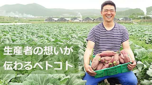ペトコトフーズ