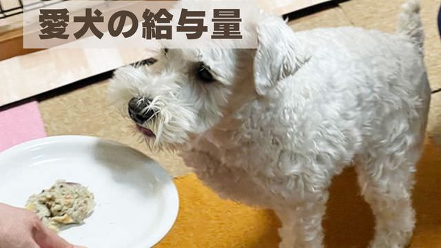 ペトコトフーズ
