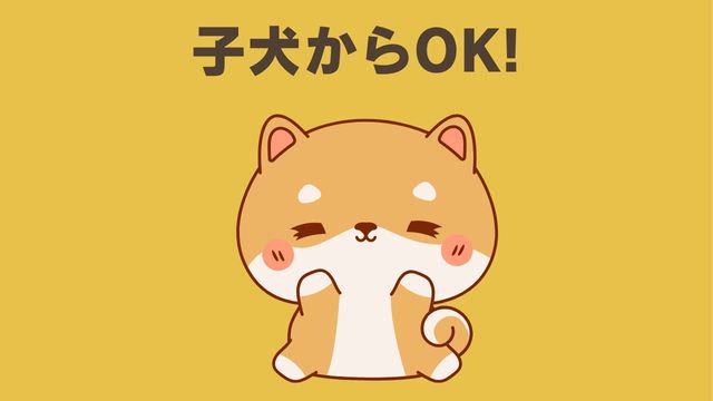 ペトコトフーズ