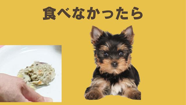 ペトコトフーズ