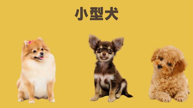 ペトコトフーズ