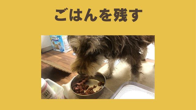 ペトコトフーズ