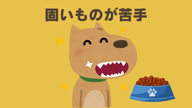 ペトコトフーズ