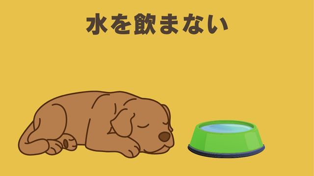 ペトコトフーズ