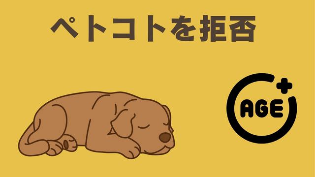 ペトコトフーズ