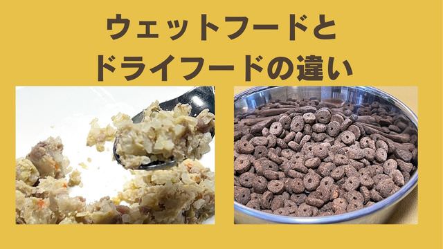 ペトコトフーズ