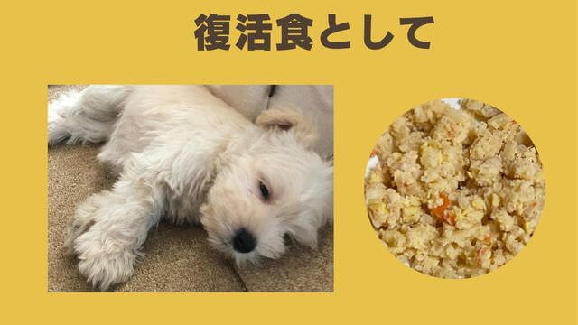 ペトコトポーク