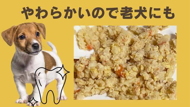 ペトコトポーク