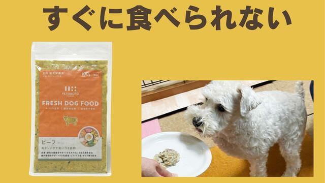 ペトコトポーク