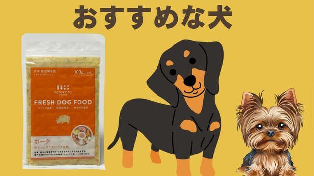 ペトコトポーク