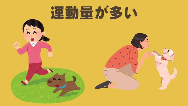 ペトコトポーク