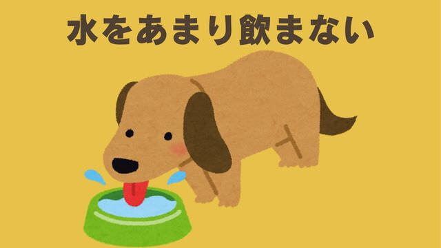 ペトコトポーク