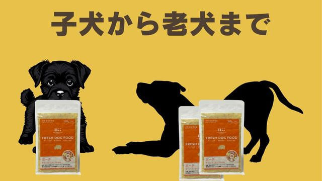 ペトコトポーク