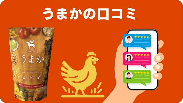 おすすめドッグフードランキング