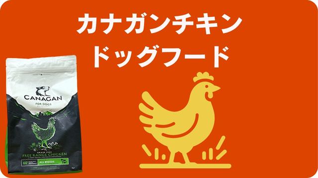 おすすめドッグフードランキング