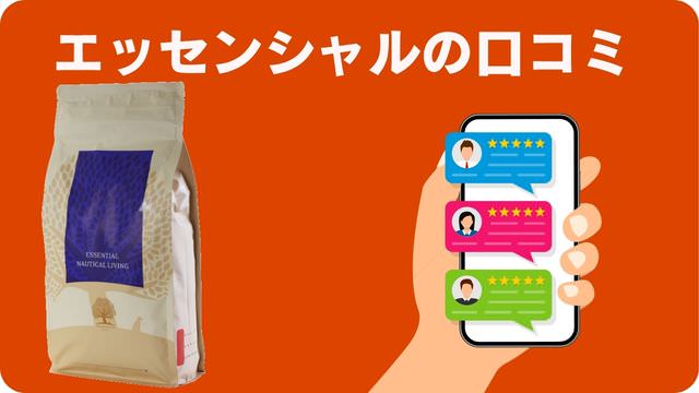 ドッグフードランキング