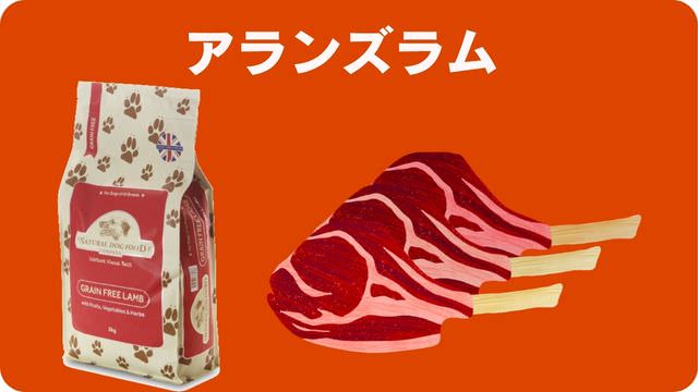 ドッグフードランキング