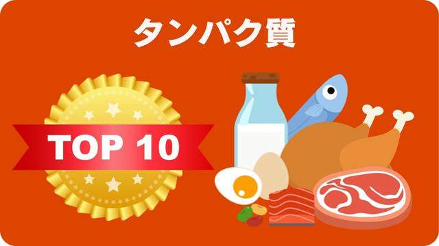 ドッグフードランキング