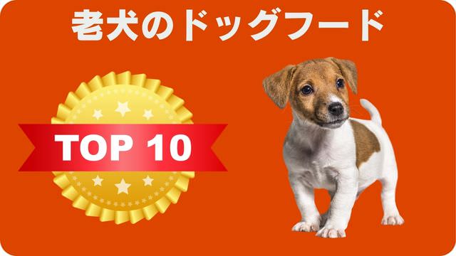 ドッグフードランキング