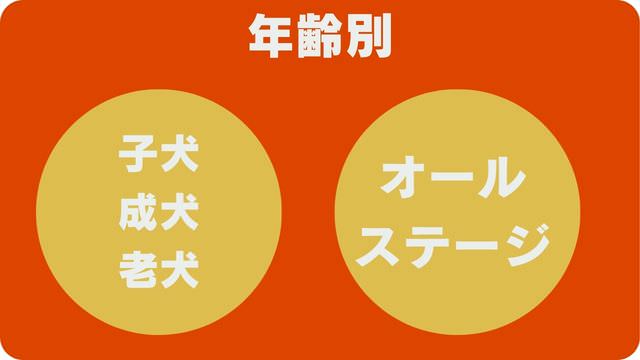 ドッグフードランキング