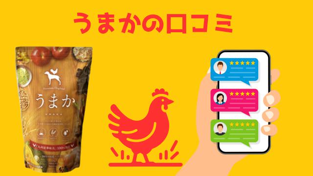 子犬用ドッグフードランキング