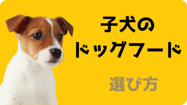 子犬用ドッグフードランキング