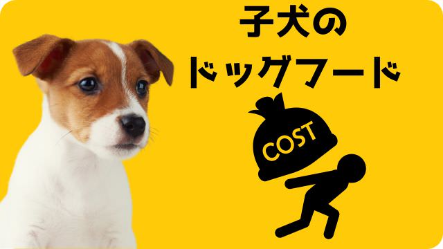 子犬用ドッグフードランキング