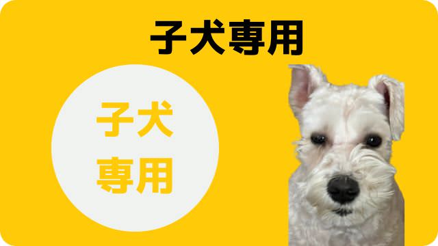 子犬用ドッグフードランキング