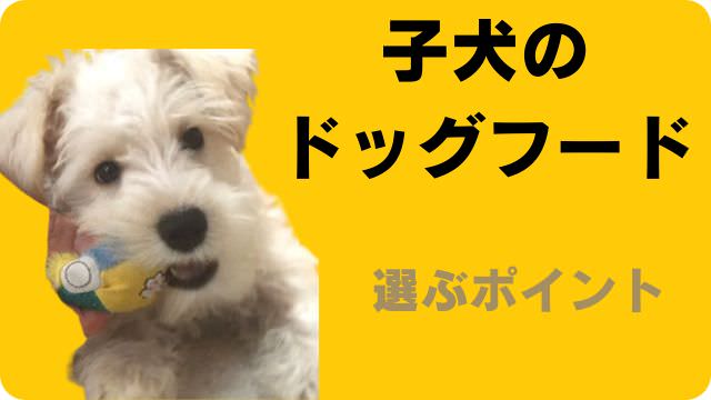 子犬用ドッグフードランキング