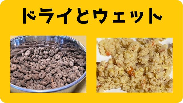 子犬用ドッグフードランキング