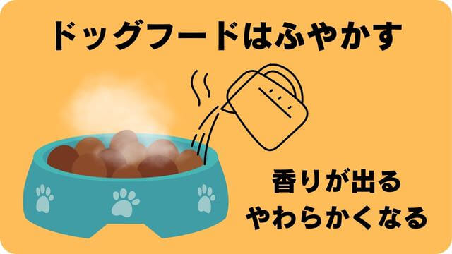 子犬がご飯を食べない