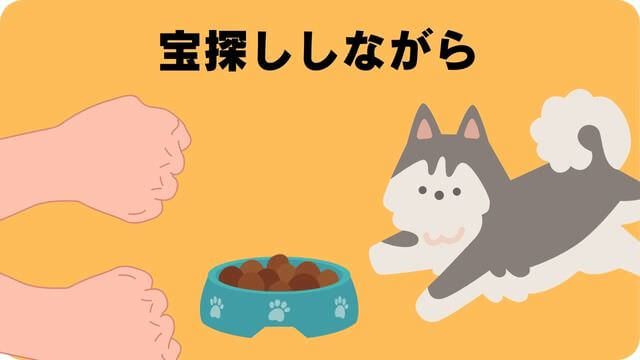 子犬がご飯を食べない