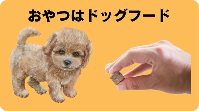 子犬がご飯を食べない