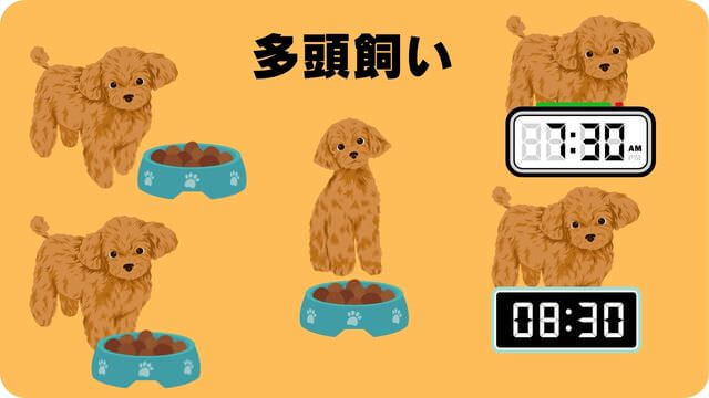 子犬がご飯を食べない