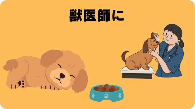 子犬がご飯を食べない