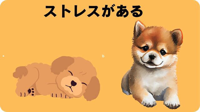 子犬がご飯を食べない