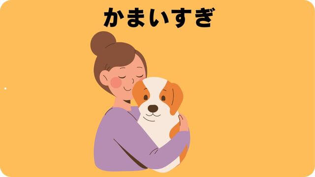 子犬がご飯を食べない