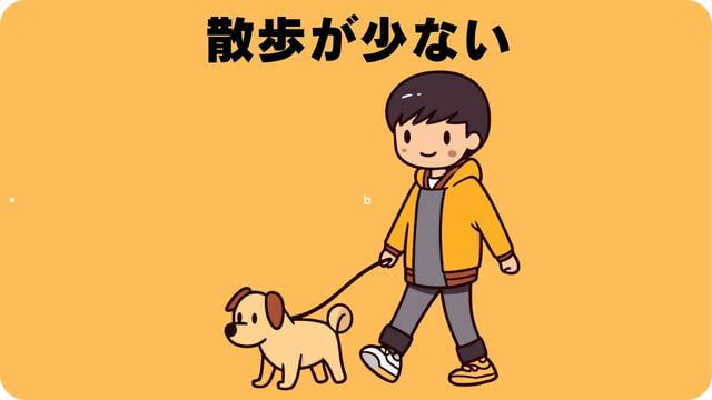 子犬がご飯を食べない