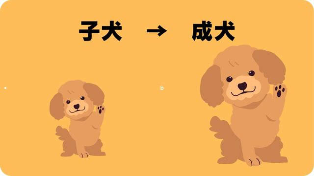 子犬がご飯を食べない