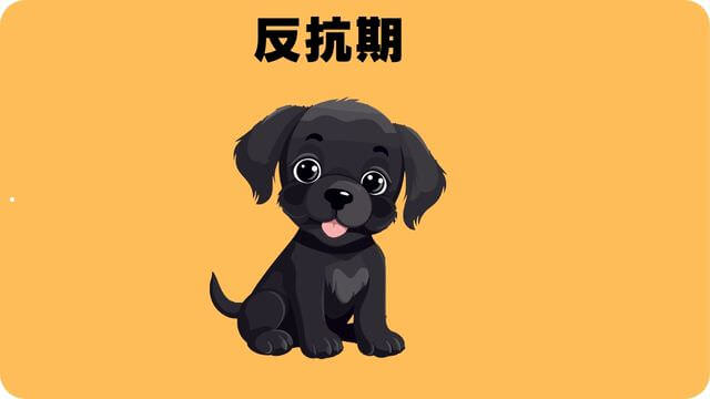 子犬がご飯を食べない