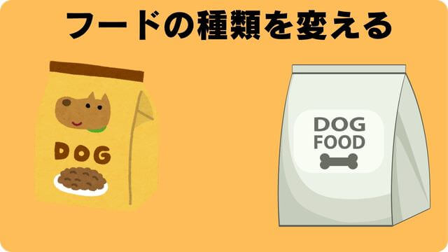 子犬がふやかしたフードを食べない