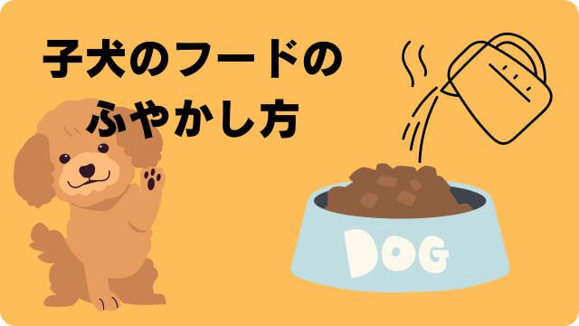 子犬がふやかしたフードを食べない