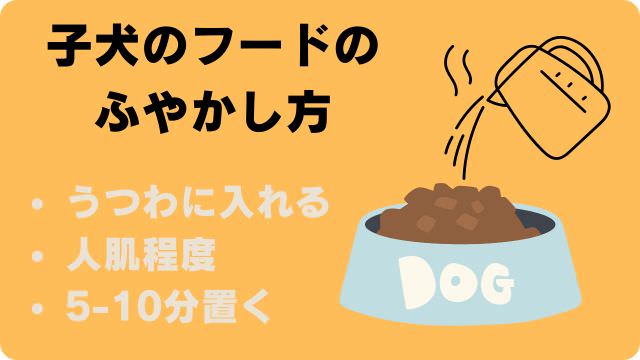 子犬がふやかしたフードを食べない