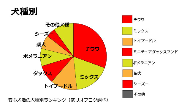 安心犬活