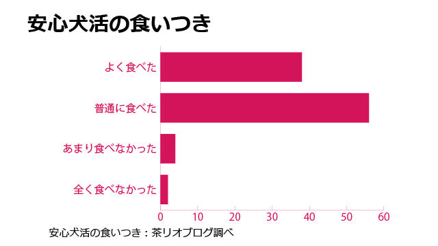 安心犬活