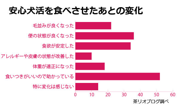 安心犬活
