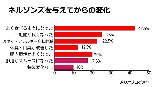 ネルソンズ